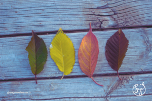 Symbolic image of personal transformation from darkness to light through life’s seasons